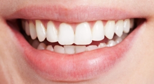 dentist trip during pregnancy